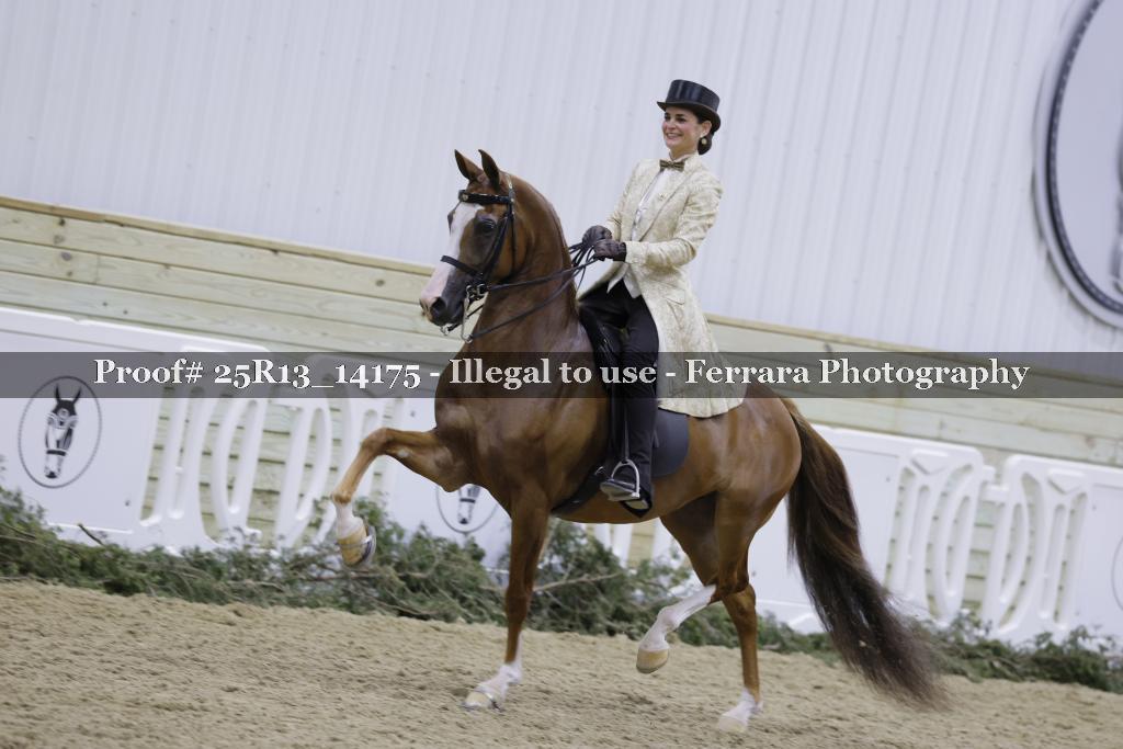 Proof Number 25R13_14175