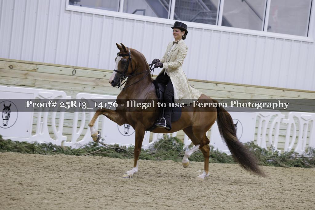 Proof Number 25R13_14176