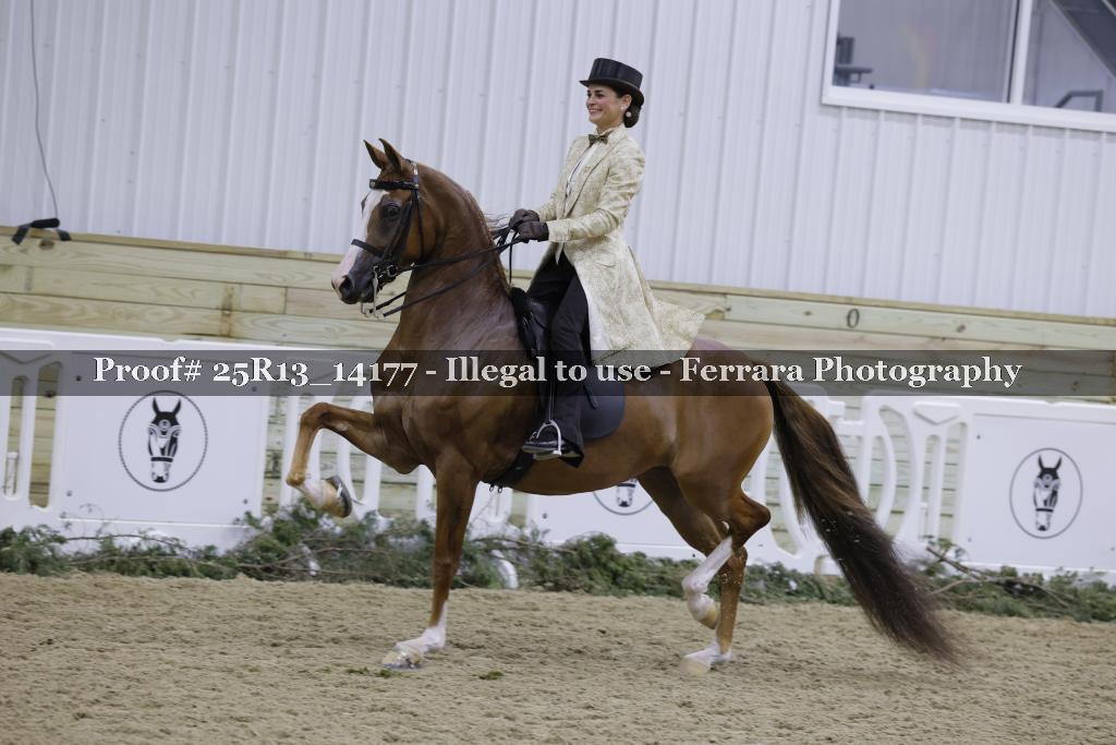Proof Number 25R13_14177