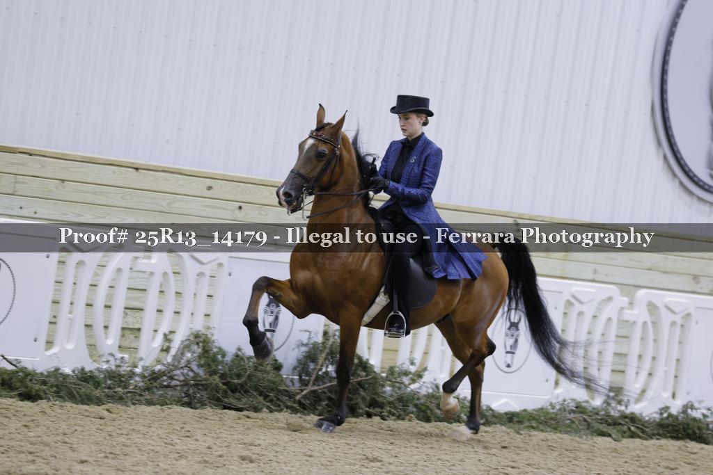 Proof Number 25R13_14179