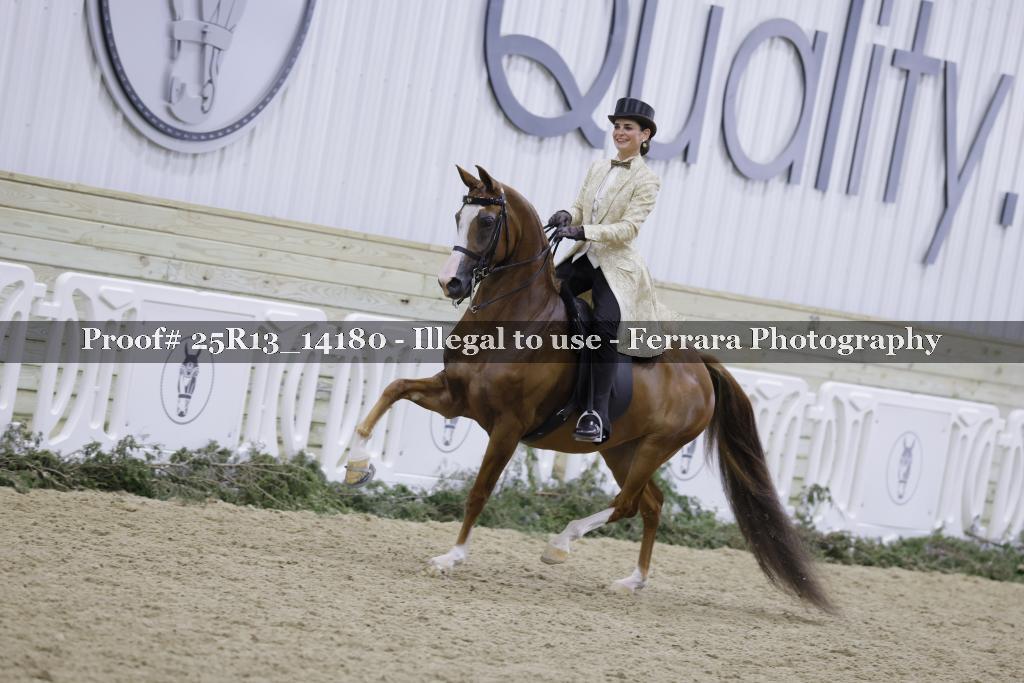 Proof Number 25R13_14180