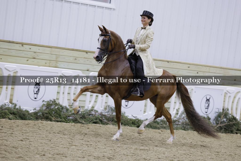 Proof Number 25R13_14181