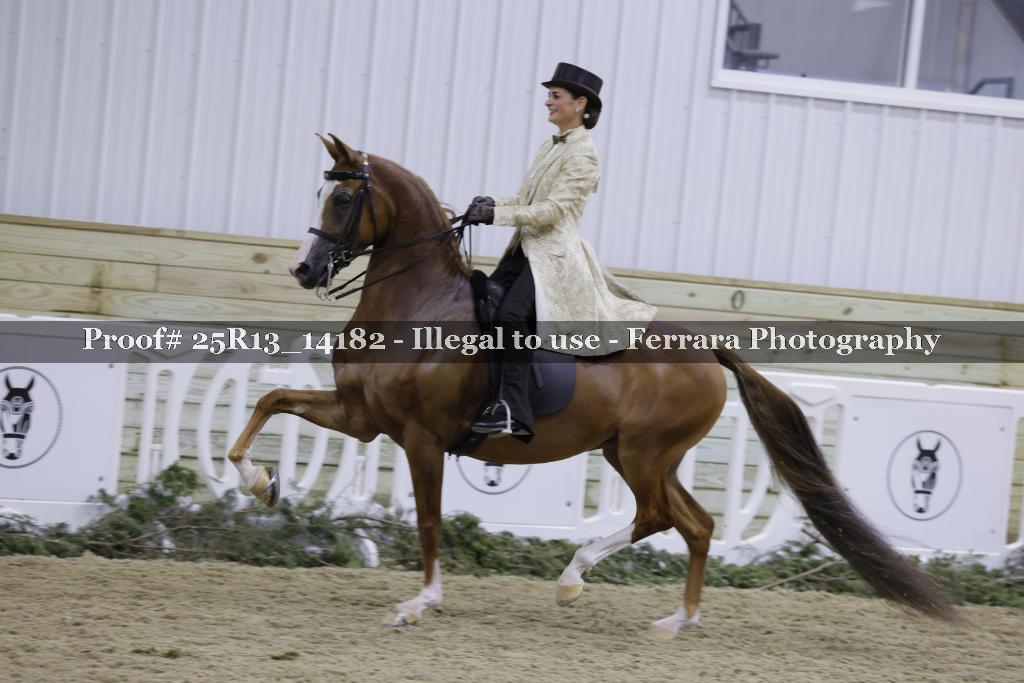 Proof Number 25R13_14182