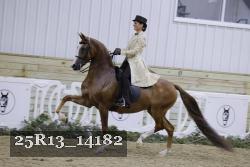 25R13_14182 thumbnail