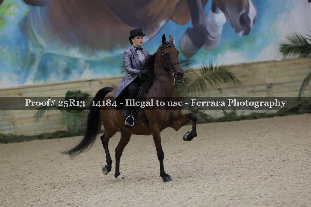 Proof Number 25R13_14184