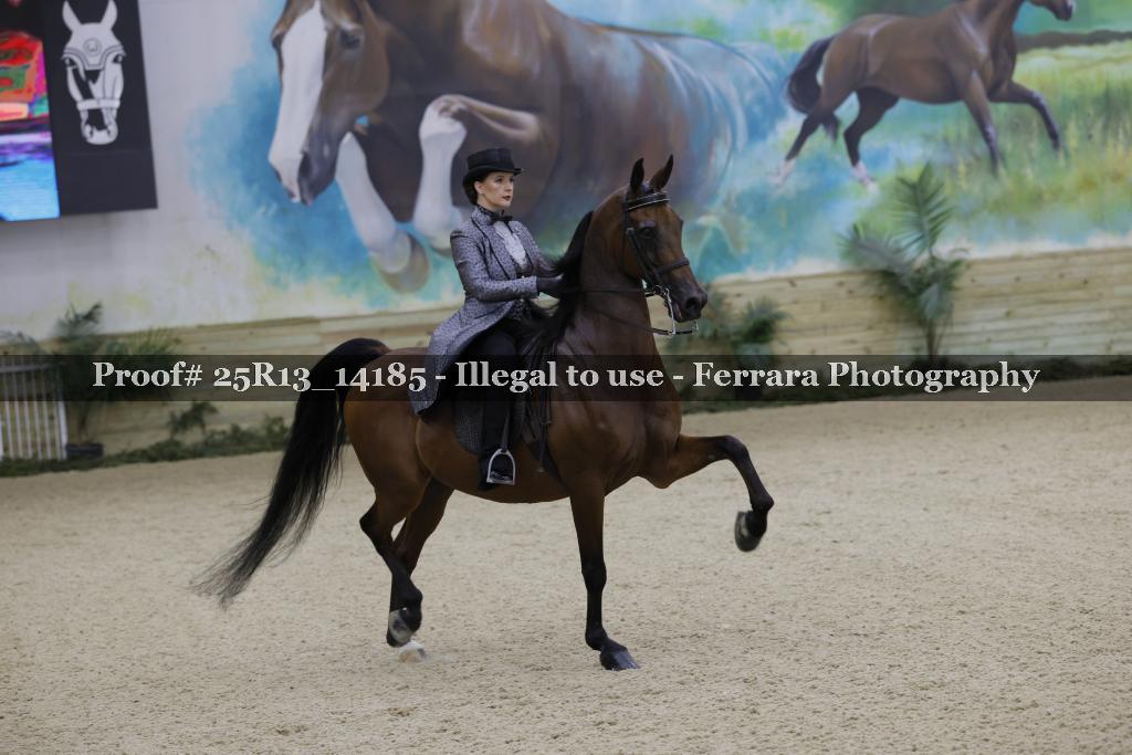 Proof Number 25R13_14185