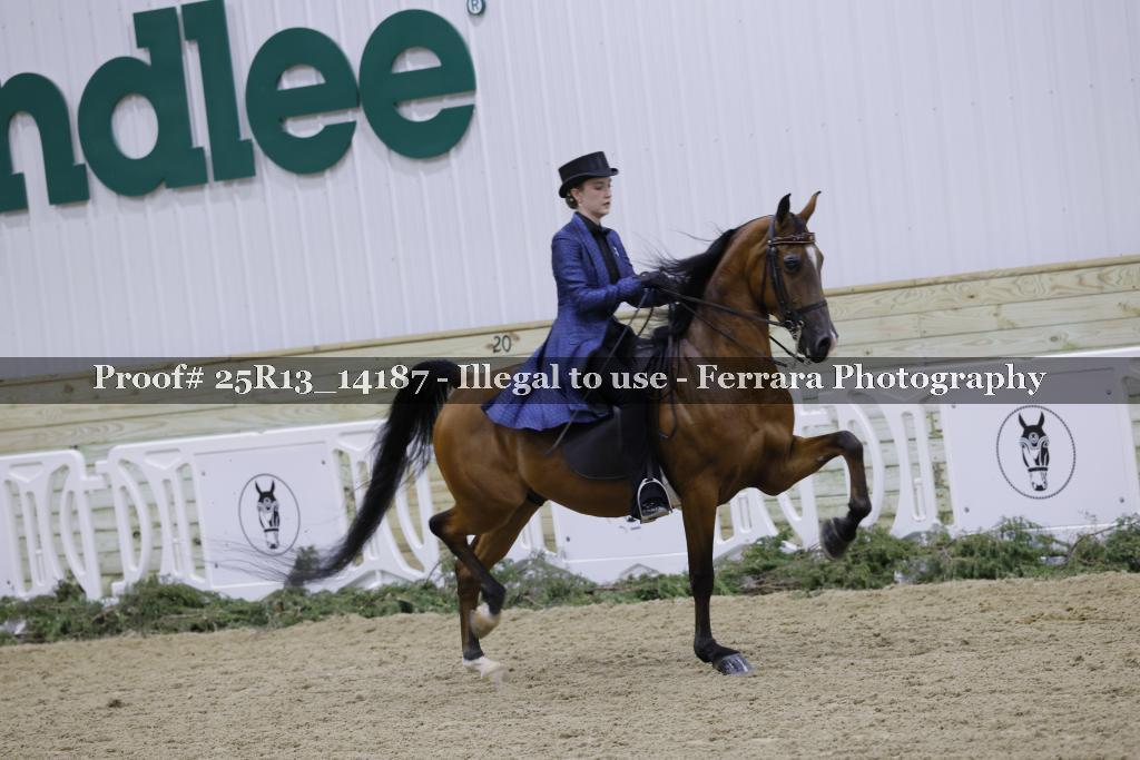 Proof Number 25R13_14187