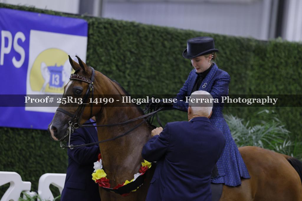 Proof Number 25R13_14190
