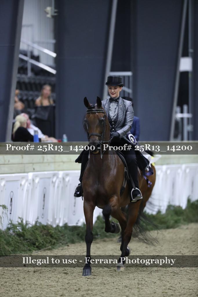 Proof Number 25R13_14200
