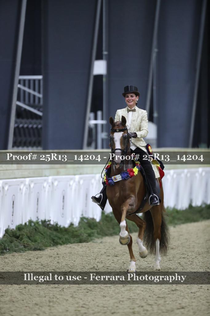 Proof Number 25R13_14204