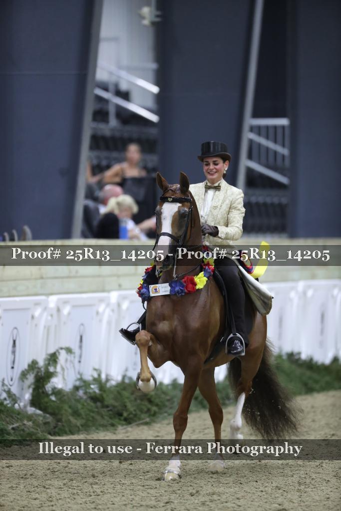 Proof Number 25R13_14205
