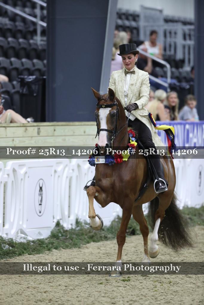 Proof Number 25R13_14206