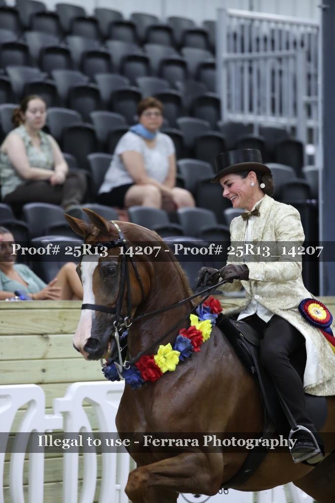Proof Number 25R13_14207