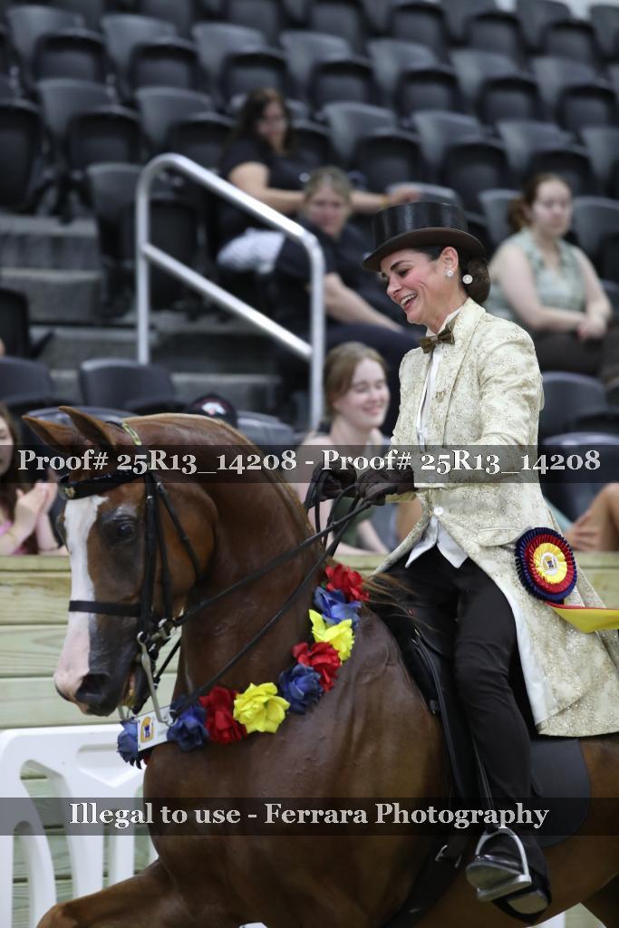 Proof Number 25R13_14208