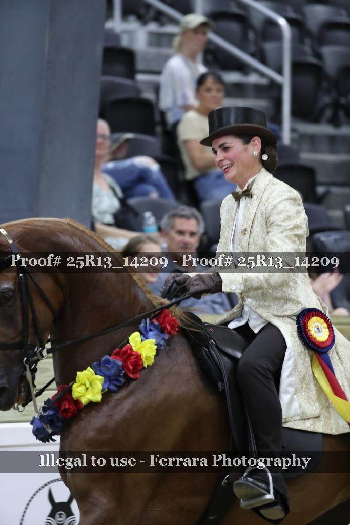 Proof Number 25R13_14209