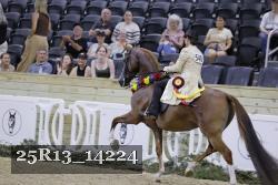 25R13_14224 thumbnail