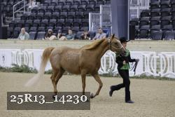 25R13_14230 thumbnail