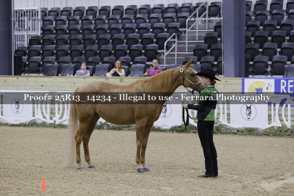 Proof Number 25R13_14234