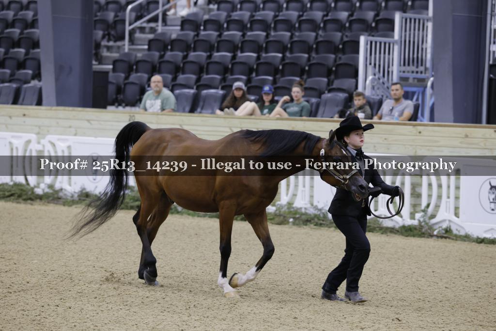 Proof Number 25R13_14239