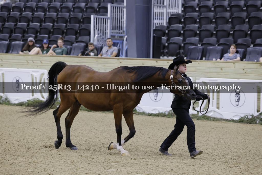 Proof Number 25R13_14240