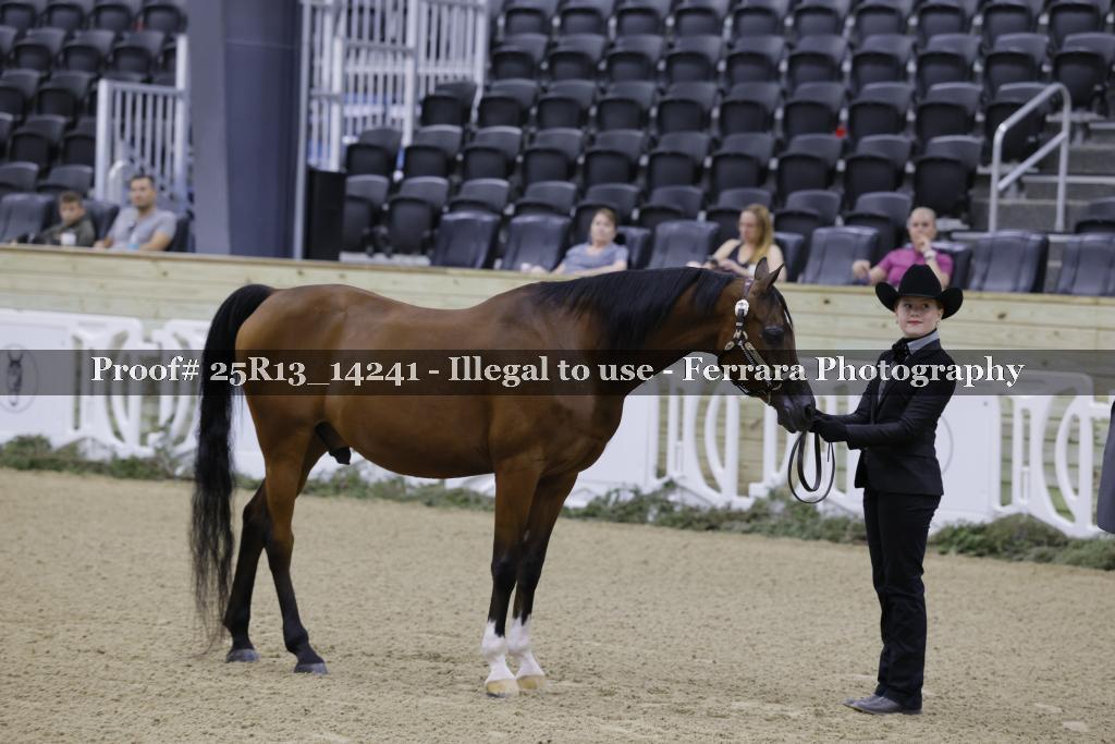 Proof Number 25R13_14241
