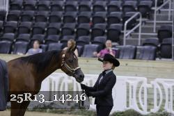 25R13_14246 thumbnail
