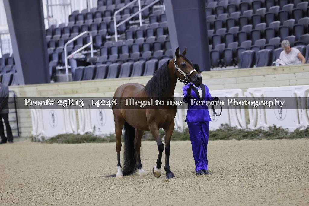 Proof Number 25R13_14248