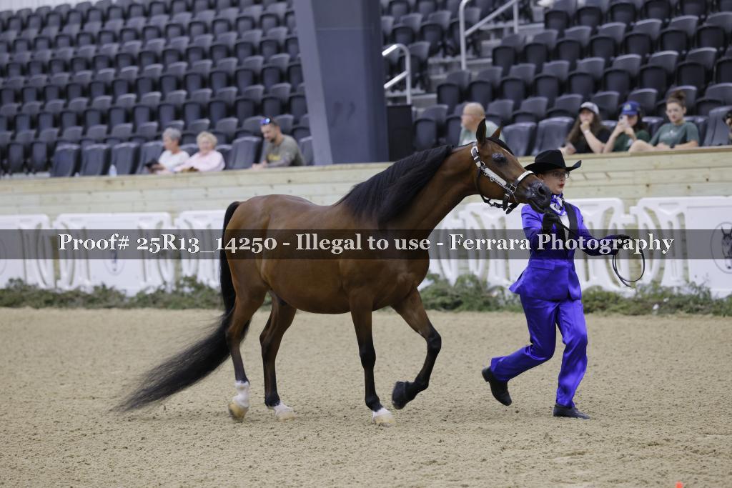 Proof Number 25R13_14250