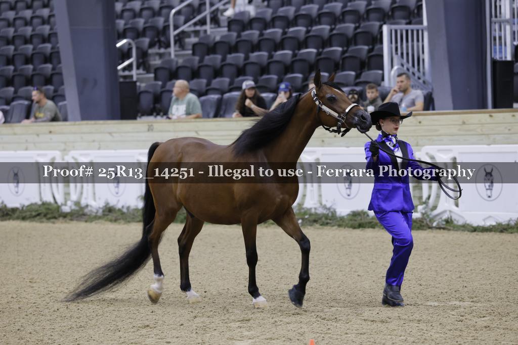 Proof Number 25R13_14251