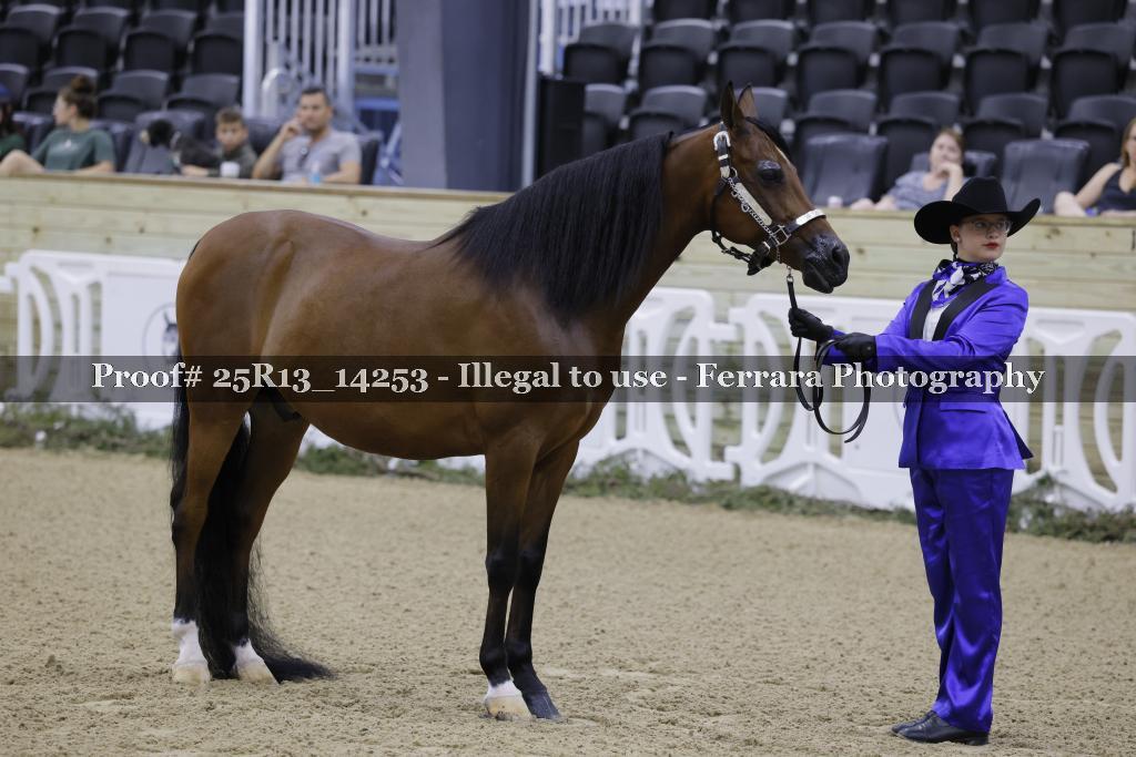 Proof Number 25R13_14253