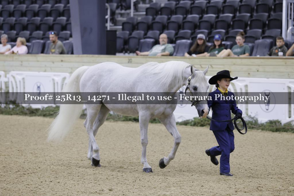 Proof Number 25R13_14271