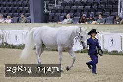 25R13_14271 thumbnail