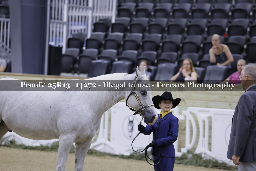 Proof Number 25R13_14272