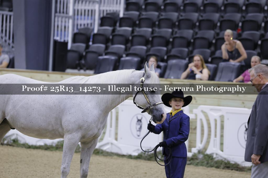 Proof Number 25R13_14273