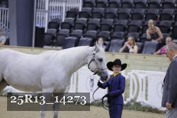 25R13_14273 thumbnail