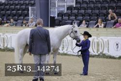 25R13_14274 thumbnail