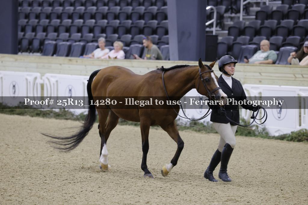 Proof Number 25R13_14280
