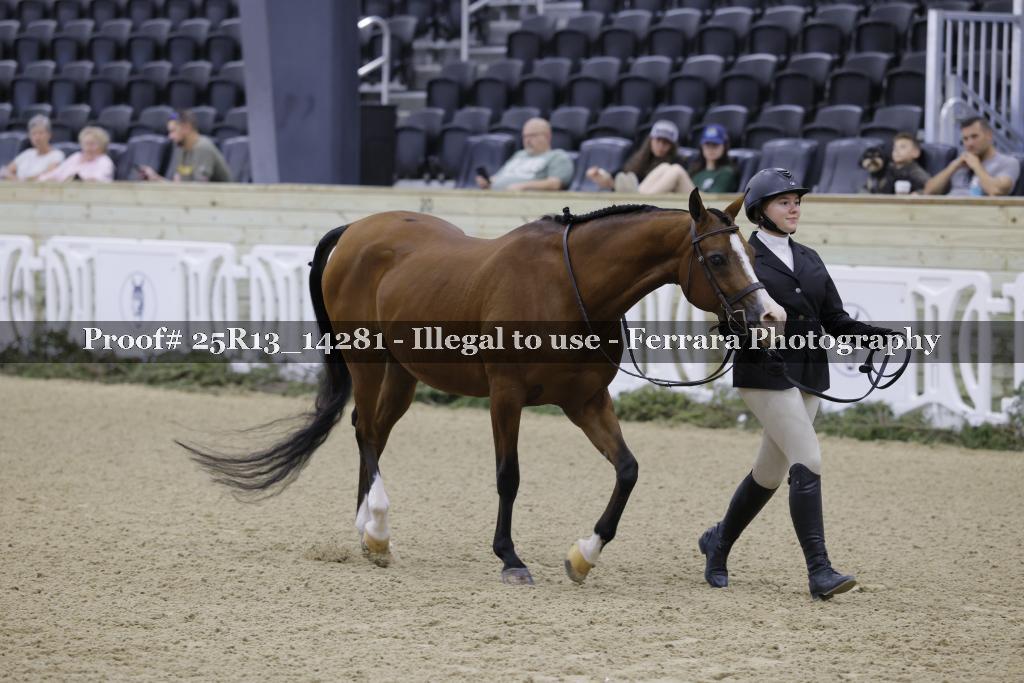 Proof Number 25R13_14281