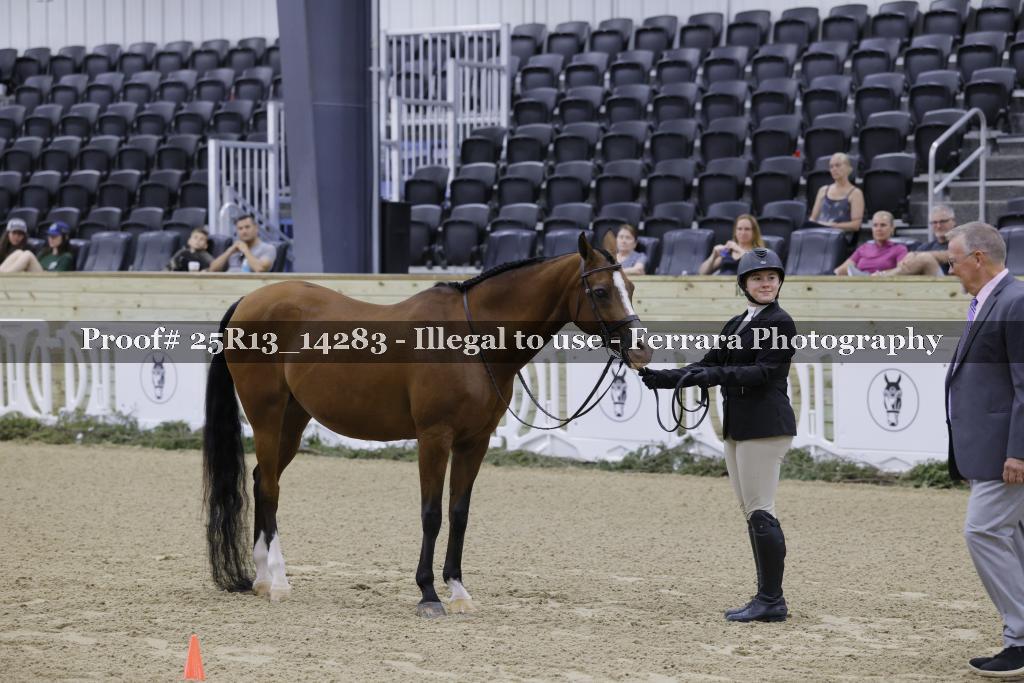 Proof Number 25R13_14283
