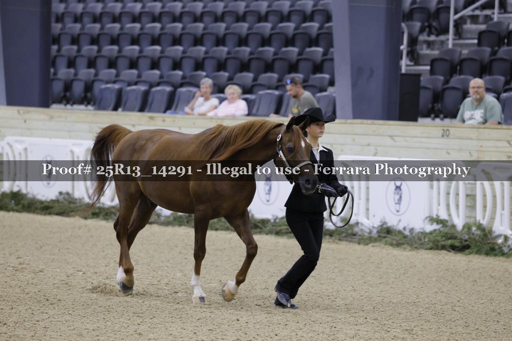 Proof Number 25R13_14291