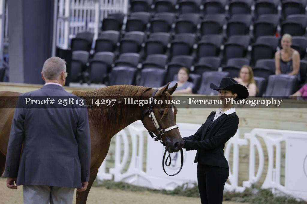 Proof Number 25R13_14297