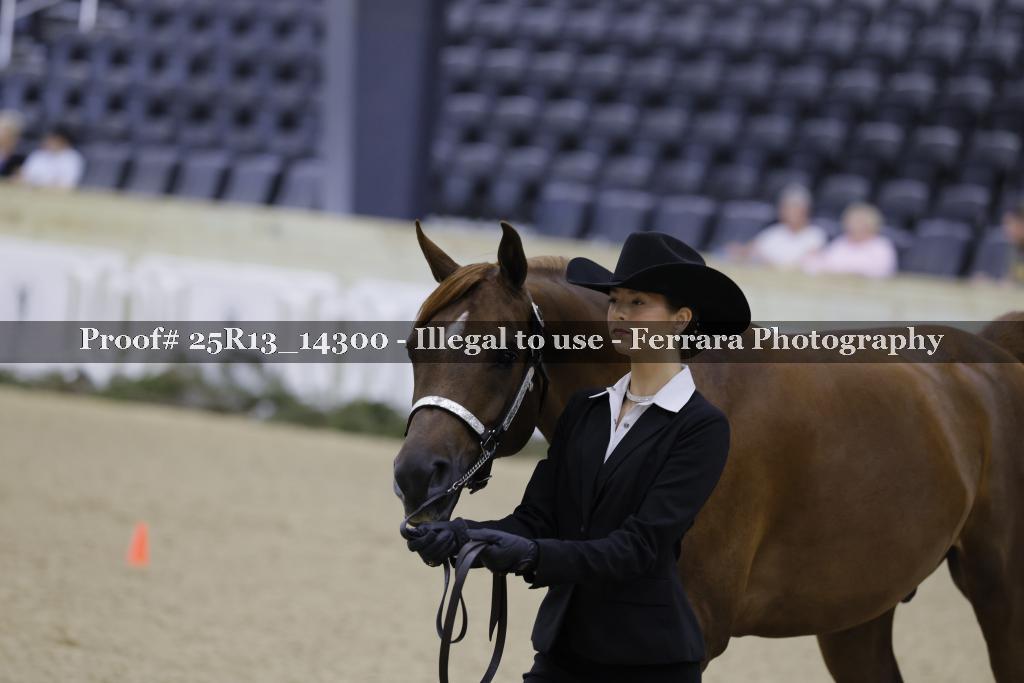 Proof Number 25R13_14300
