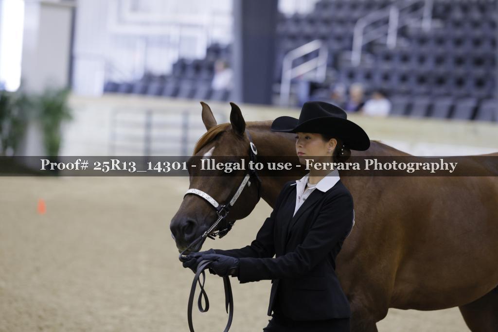 Proof Number 25R13_14301