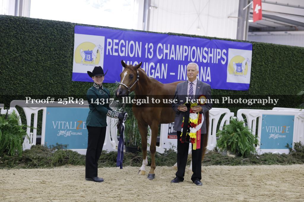 Proof Number 25R13_14317