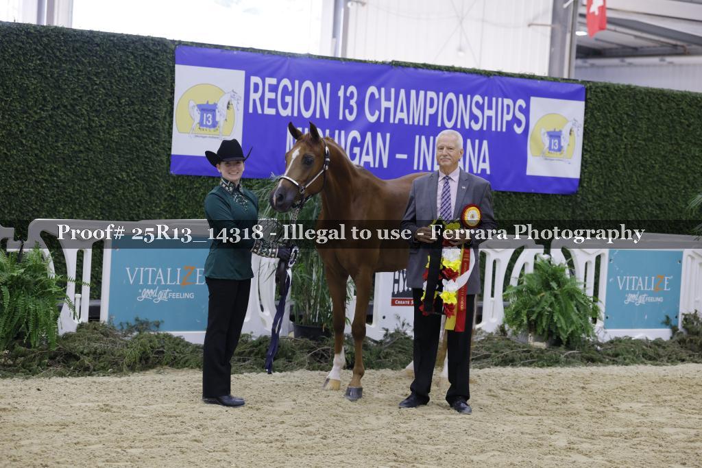 Proof Number 25R13_14318