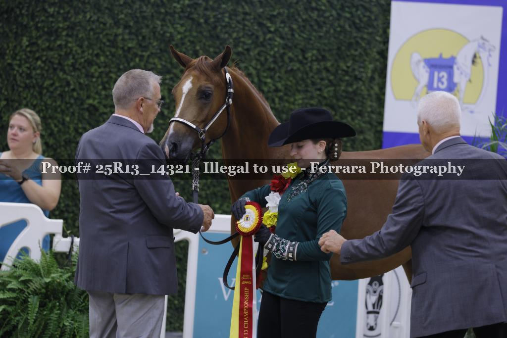 Proof Number 25R13_14321