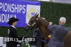 25R13_14322 thumbnail