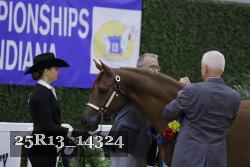 25R13_14324 thumbnail