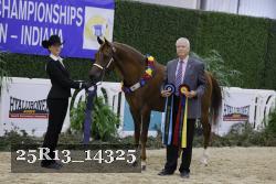 25R13_14325 thumbnail