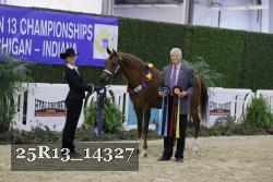 25R13_14327 thumbnail